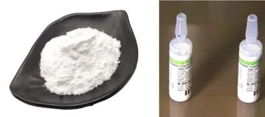 永利集团88304官网