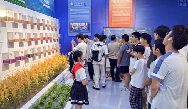 永利集团88304官网