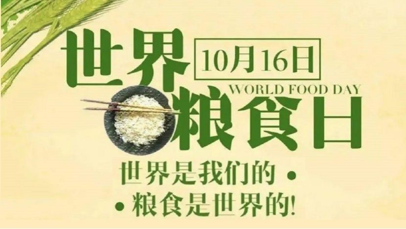 永利集团88304官网