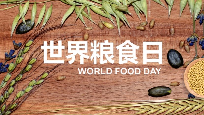 永利集团88304官网