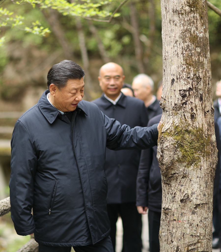 永利集团88304官网