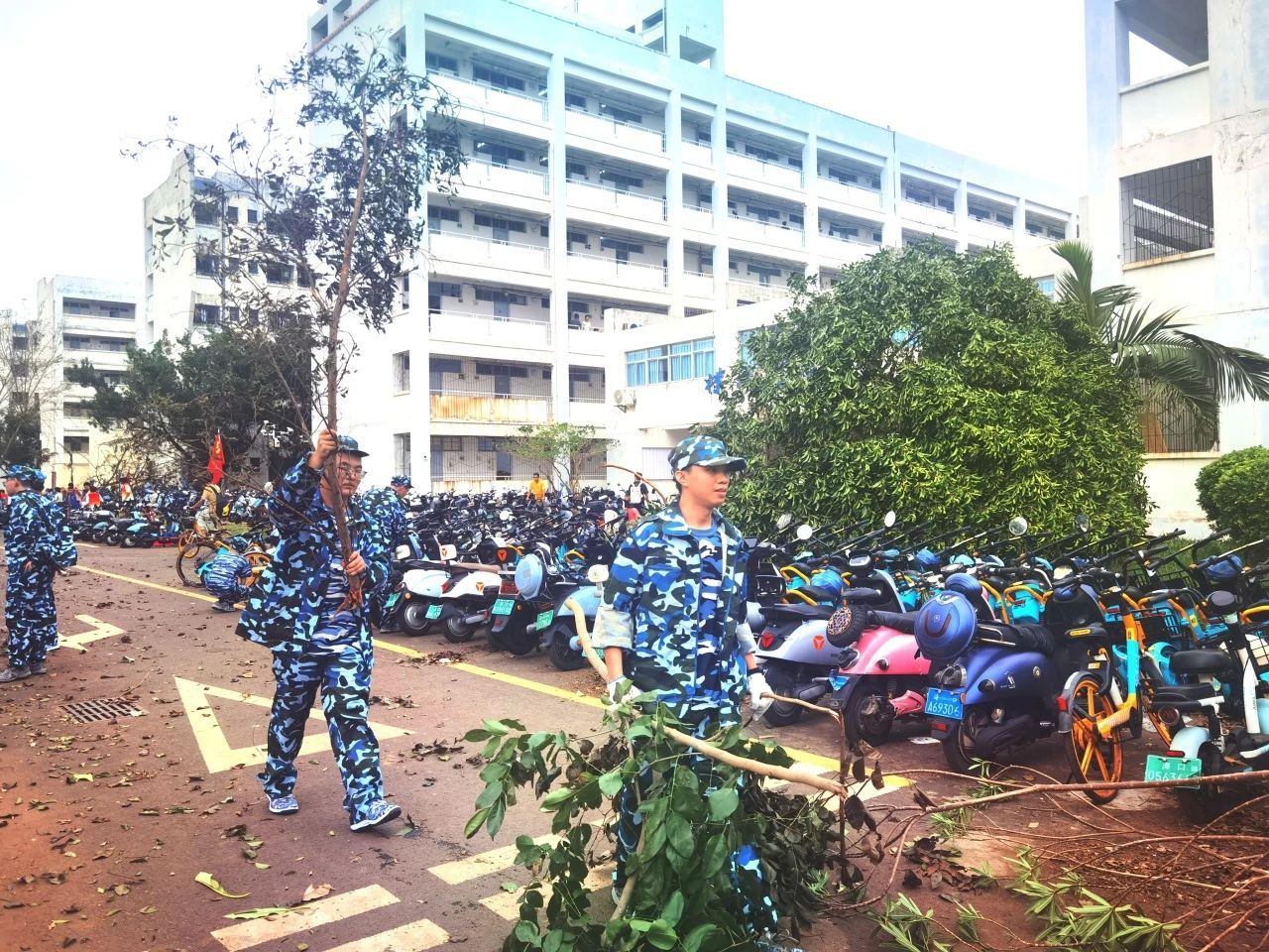 永利集团88304官网